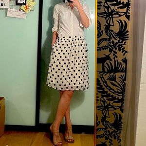 Polka dot a-line knee length skirt (J Crew)